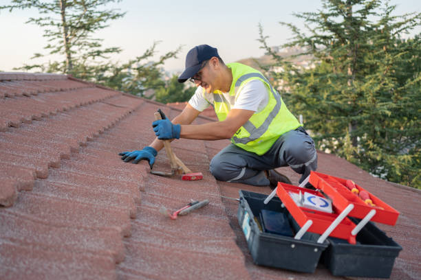 Best Metal Roofing Contractor  in New Richmond, OH
